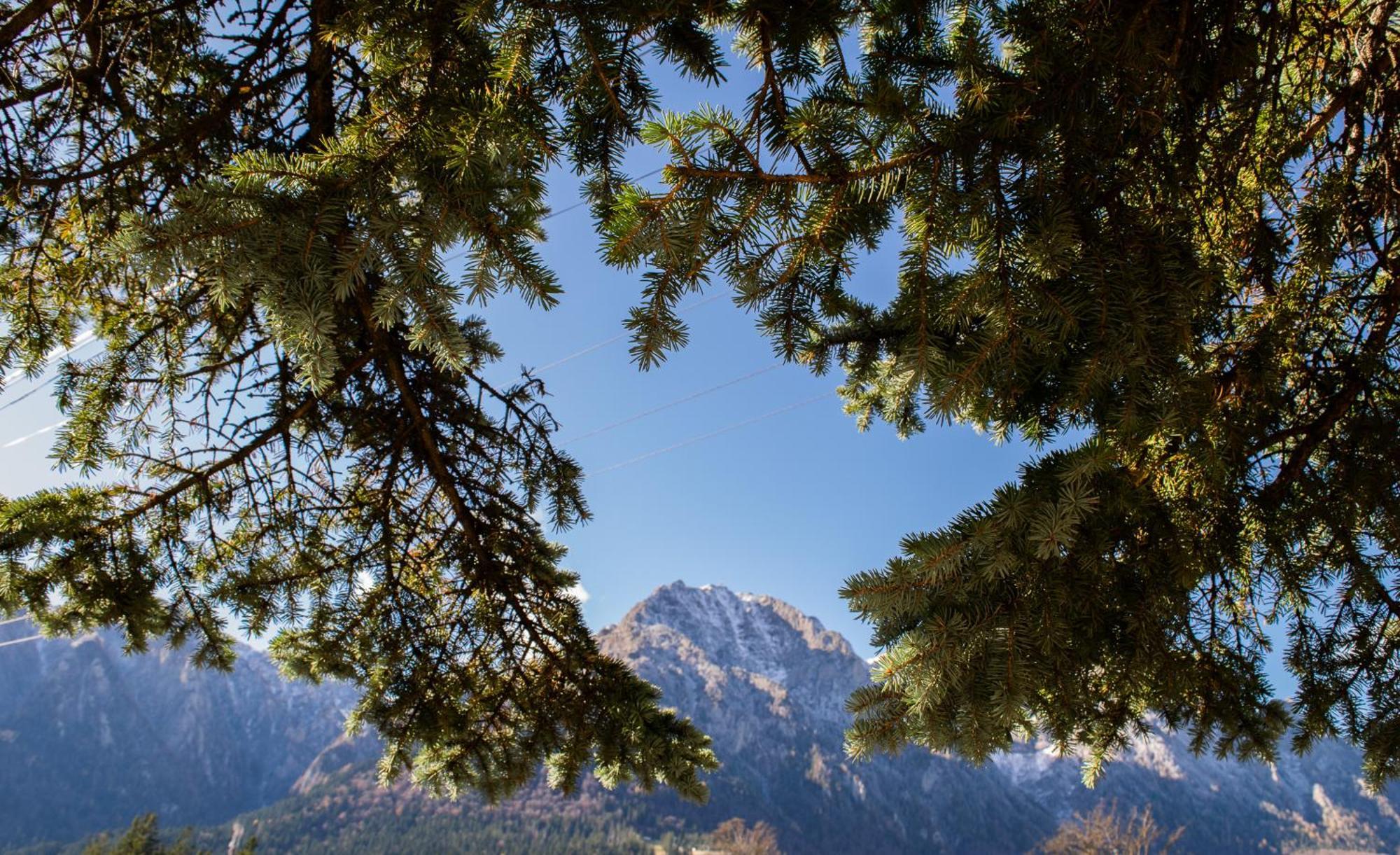 Mountain Vista, Busteni Luaran gambar
